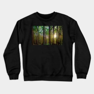 Sunshine Through a Redwood Forest Crewneck Sweatshirt